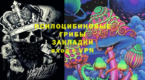 гашик Липки
