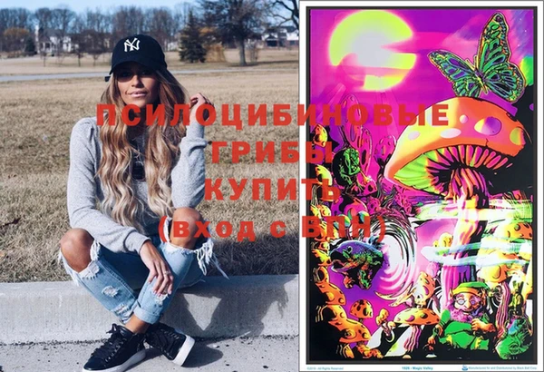 гашик Липки