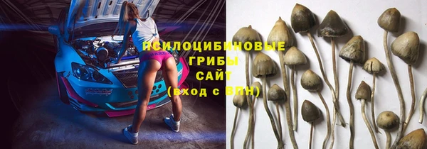 гашик Липки