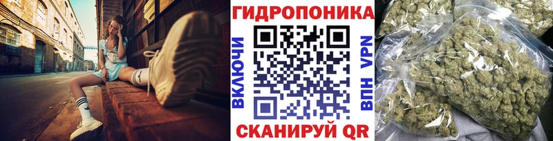 Бошки марихуана планчик Купить где Лянтор